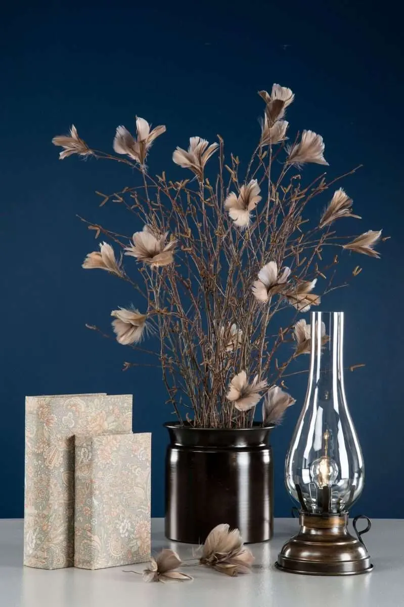 fjäderblomma mullvad 12st - bild 2