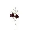 Magnolia H40cm