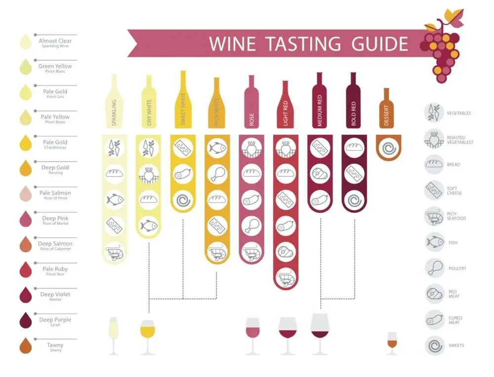 poster köksmotiv - wine tasting guide