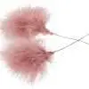 Fjäderblomma Puder Vippa Gammelrosa 12st