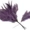 Fjäderblomma Vippa Lila 12st