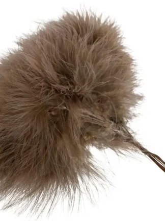 Fjäderblomma Spretig Brun 12st