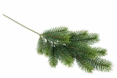 Grankvist Grön 46cm