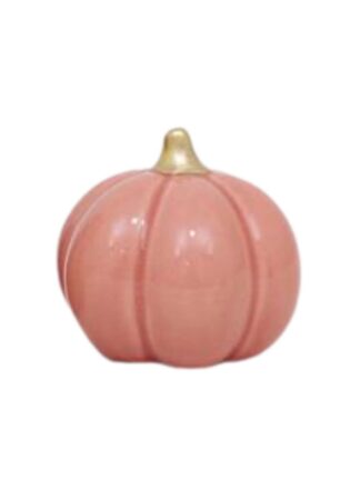 Pumpa rosa 7x7x6,5cm