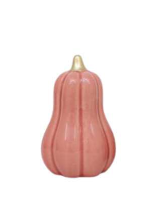 Pumpa Rosa 6x6x9.2cm