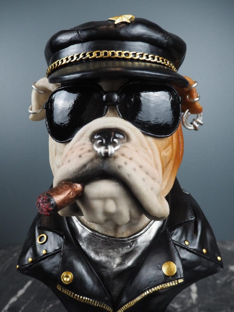 bulldogbyst med svart keps, stora solglasögon och cigarr