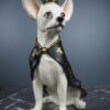 Chihuahua vit med Krona och Cape 26×16×32.5cm