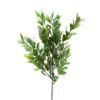 Buxbom Kvist Grön 25cm
