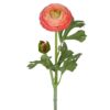 Ranuncel Kvist Rosa 50cm