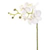Orkidé Kvist Vit 28cm