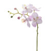 Orkidé Kvist Ljusrosa 28cm