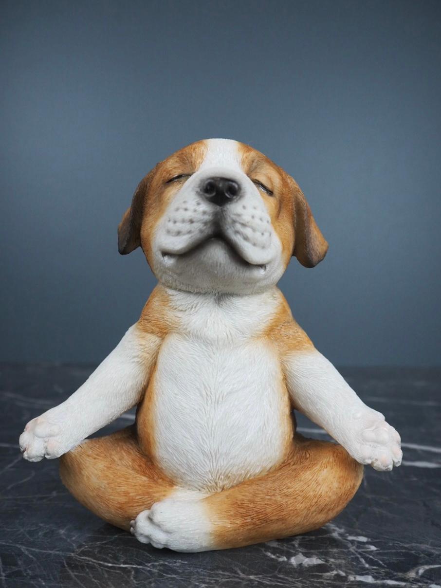 yoga valp beagle 14.5×10×16cm