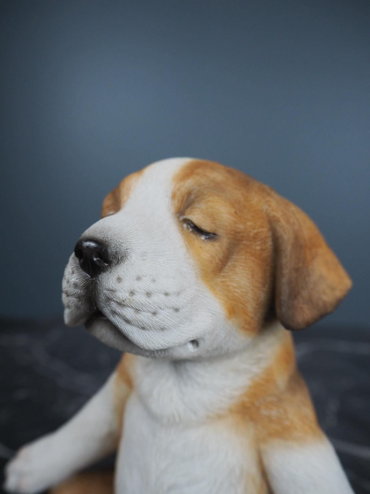 yoga valp beagle 14.5×10×16cm
- bild 4