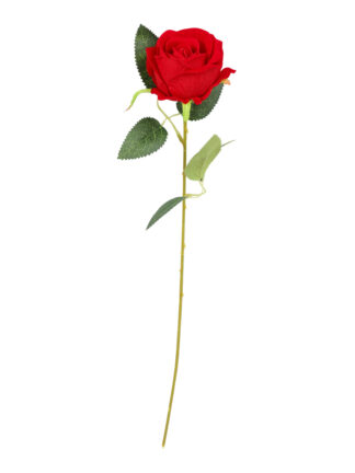 Röd Ros 50cm