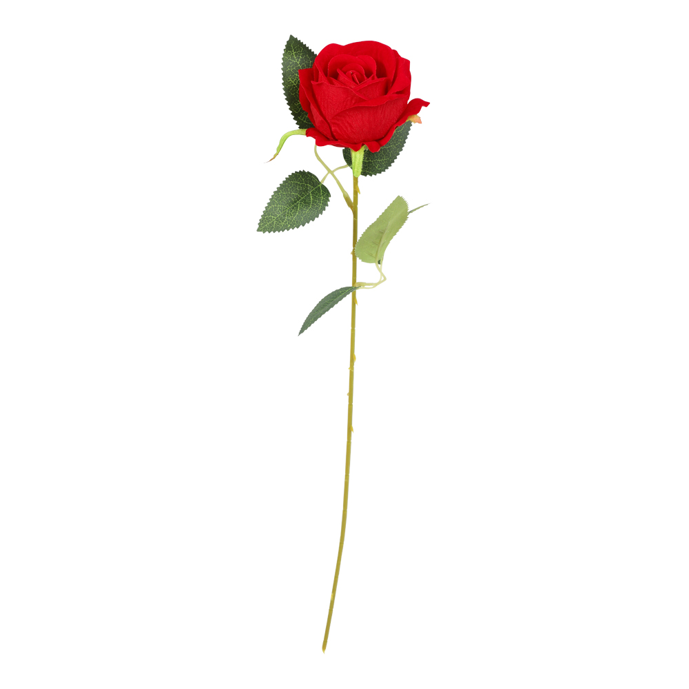 röd ros 50cm