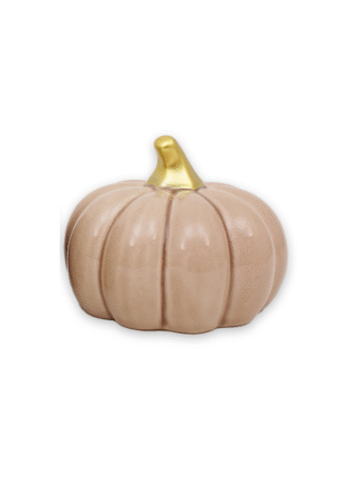 Pumpa Beige Låg L 10.5x10.5x8cm