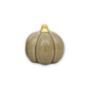 Pumpa Beige Låg M 7.5x7.5x6.5cm