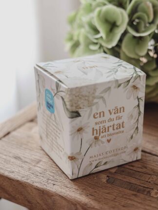 Majas Ljuslykta En Vän Som Du Får Hjärtat Att Blomstra inkl. gåvobox 7x8cm