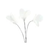 Fjäderblomma Liten Vit 2x2x10cm