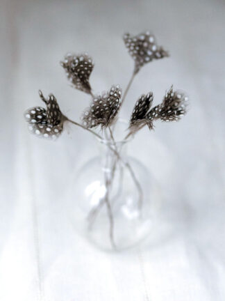 fjäderblomma liten prickig 2x2x10cm