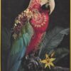 Handmålad tavla Fågel Röd Macaw med ram 62,5x92,5 cm