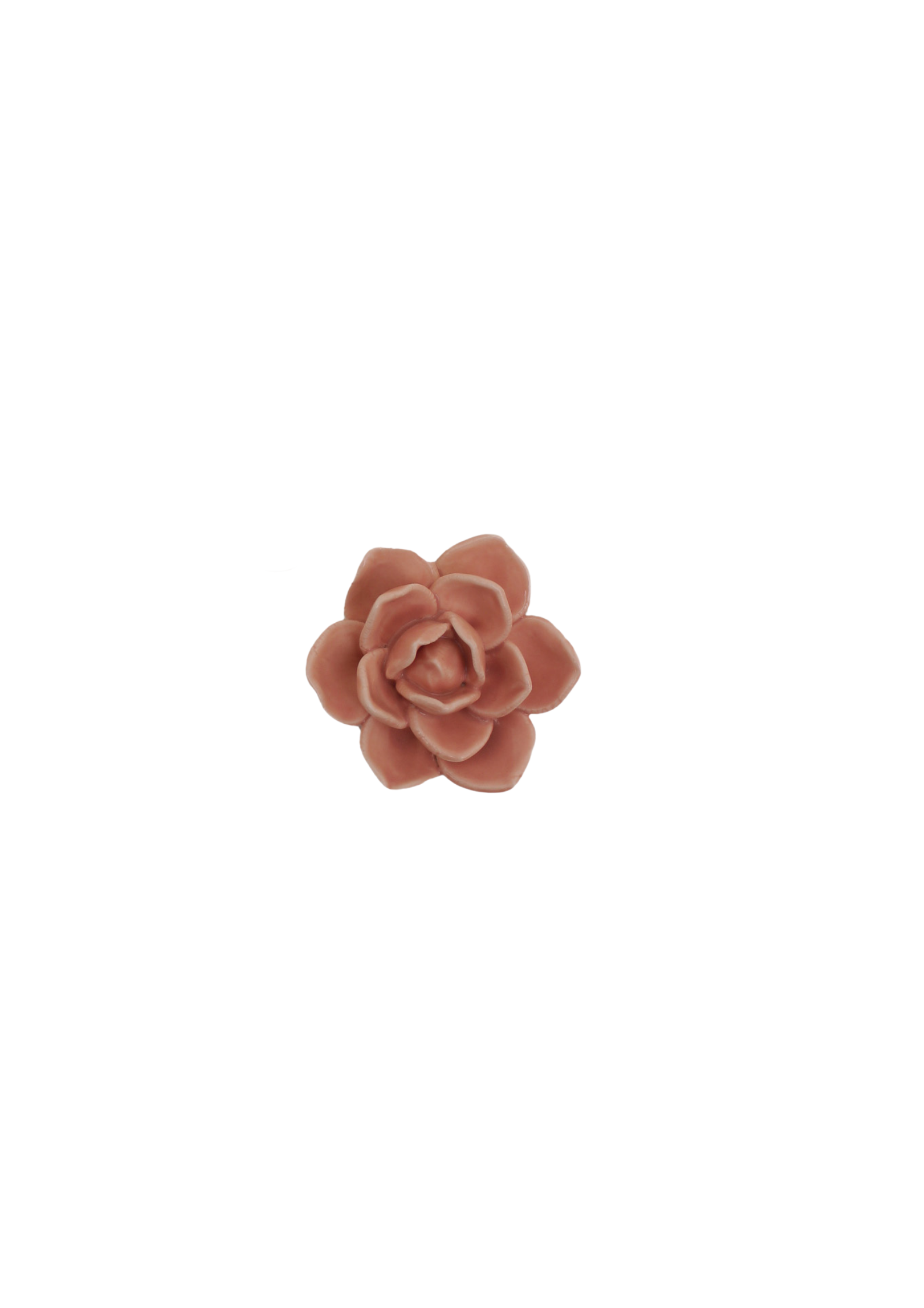 okrafärgad mini dekorationsblomma sedd uppifrån