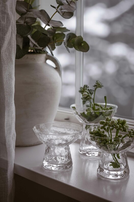 lökvas i glas med gröna växter på en fönsterbräda tillsammans med andra glasvaser
