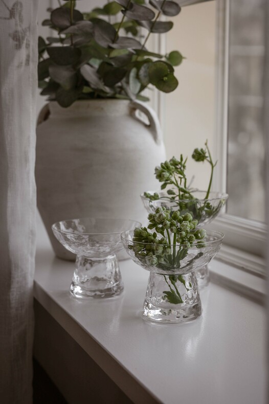 lökvas i glas med gröna växter på en ljus fönsterbräda