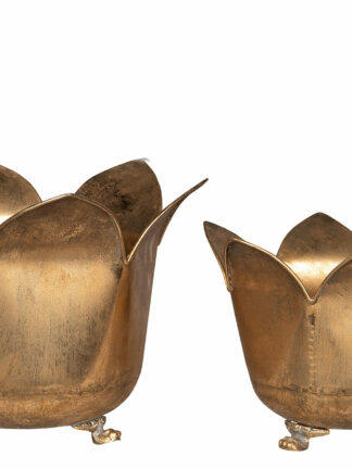 två guldiga krukor i metall i blomform med små tassfötter på vit bakgrund, guld kruka metall