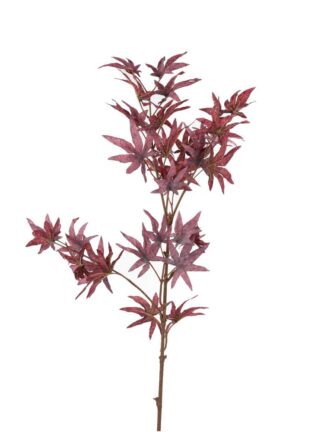 Konstväxt Lönn Plommonröd 90cm