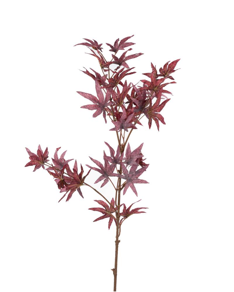 konstväxt lönn plommonröd 90cm