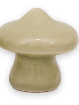 svamp sage platt hatt s 4.2x4.2x4cm