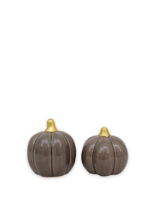 grå pumpa dekoration med två räfflade pumpor och ljusa stjälkar