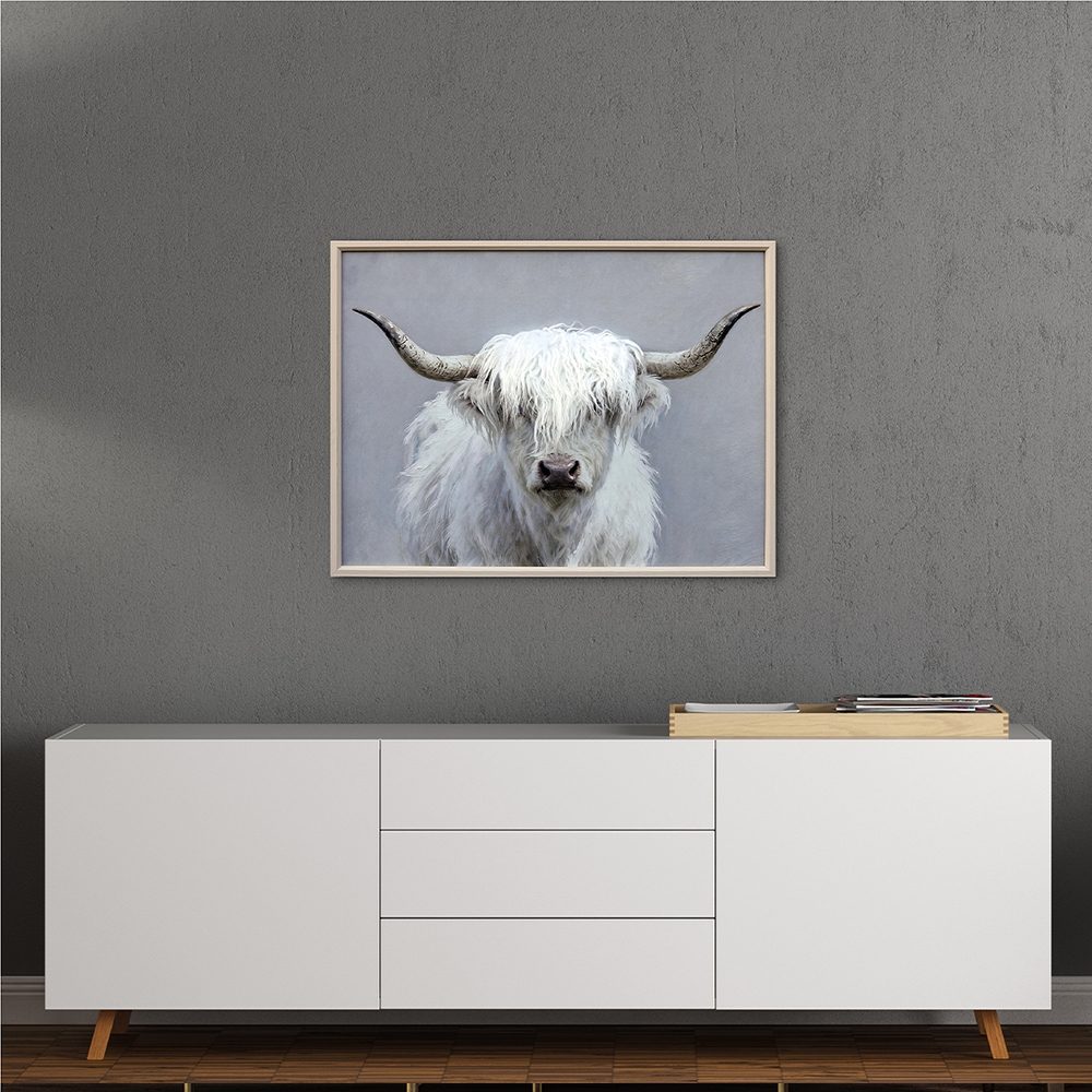 fluffig longhorn — uppsatt i ett rum