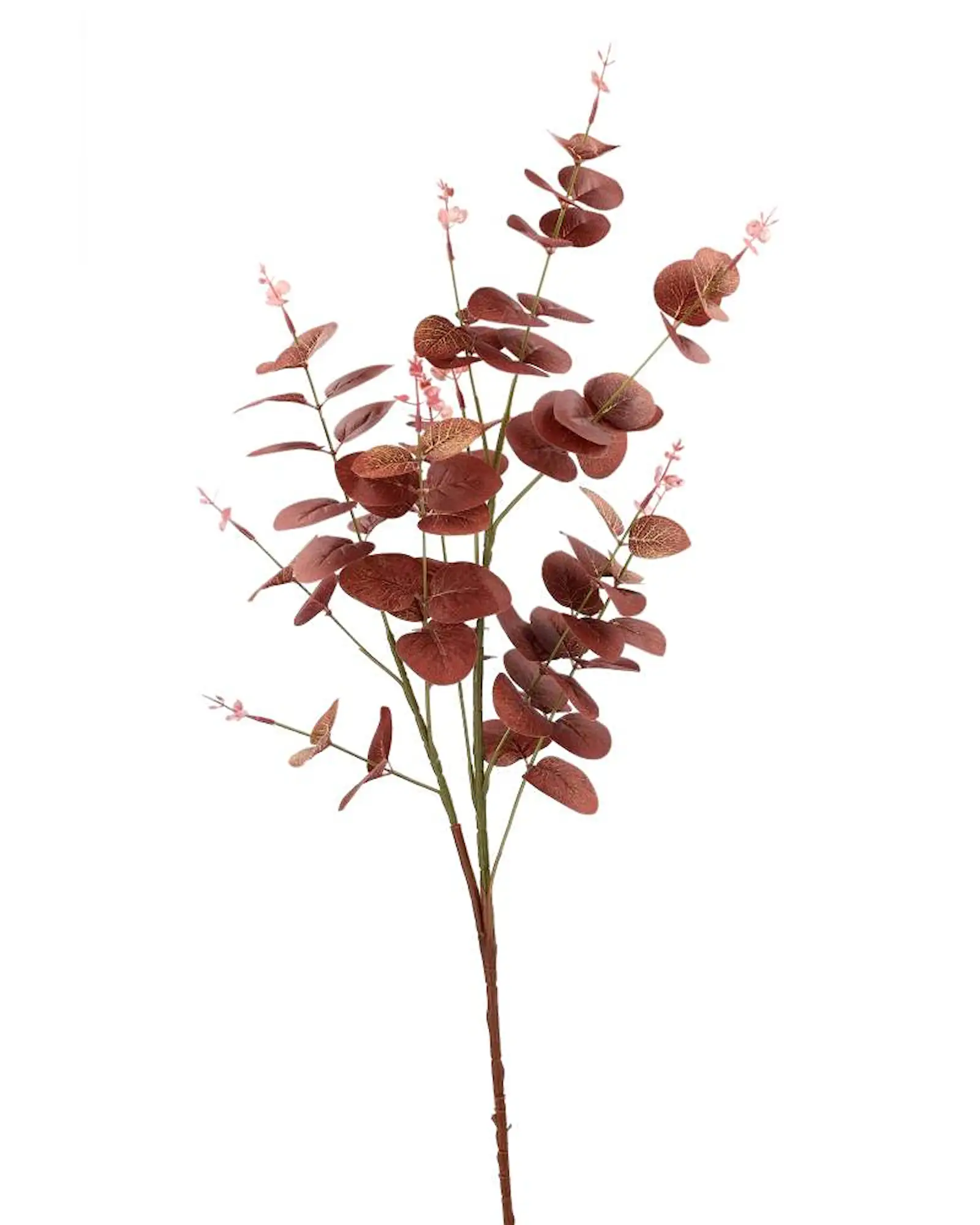 konstväxt eukalyptus vinröd 92cm