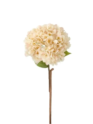 Konstväxt Hortensia Aprikos 20x20x84cm