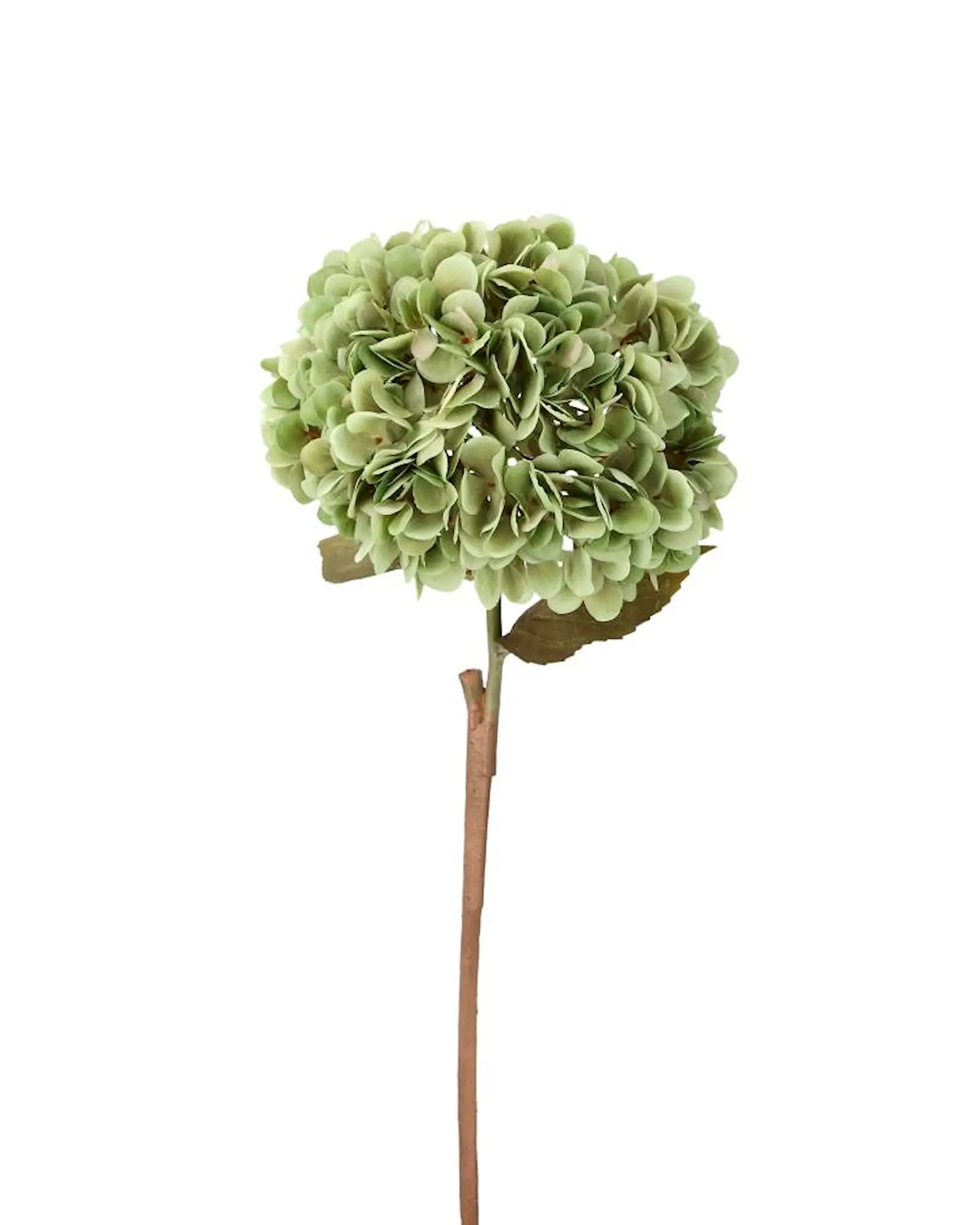 konstväxt hortensia grön 20x20x84cm