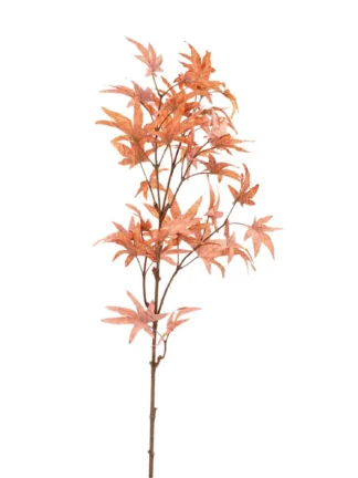 Konstväxt Lönn Orange 90cm