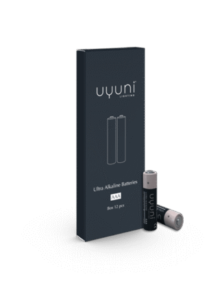 tolv aaa-batterier från uyuni